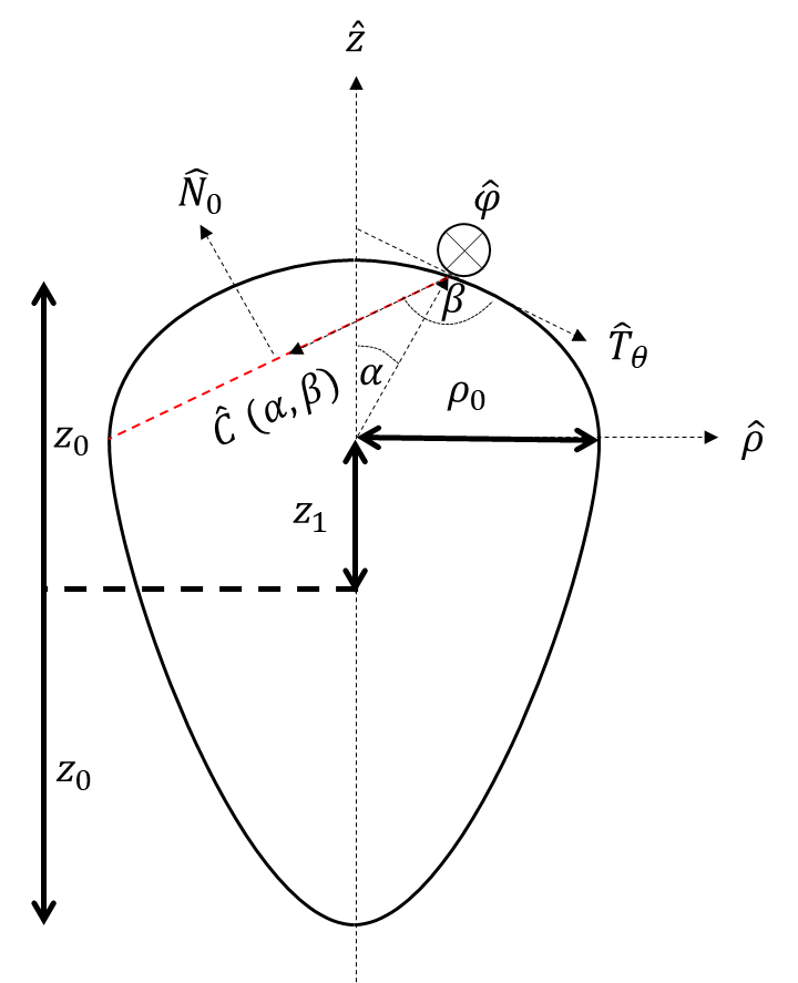 The physics of virus life cycle01