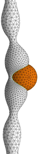 Complex Membrane Structures in the Cell05