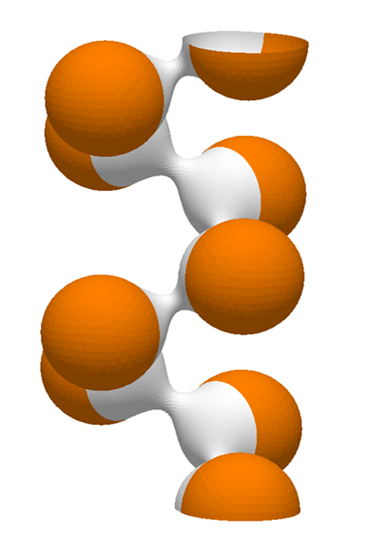 Complex Membrane Structures in the Cell02