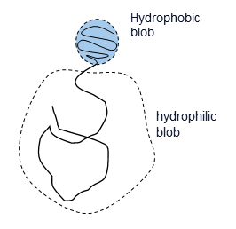Membrane-less Organelles mechanics01