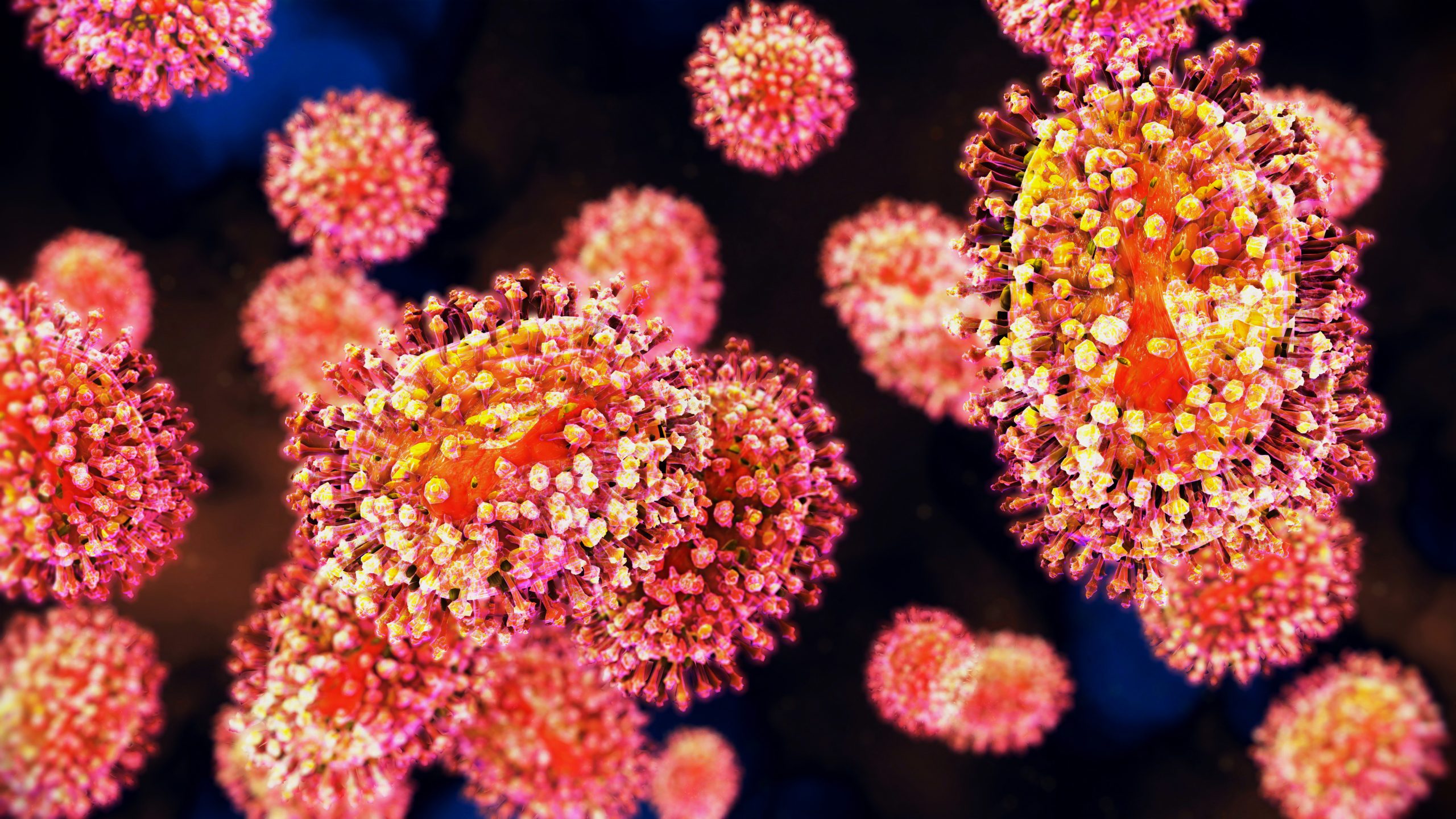 The physics of virus life cycle03